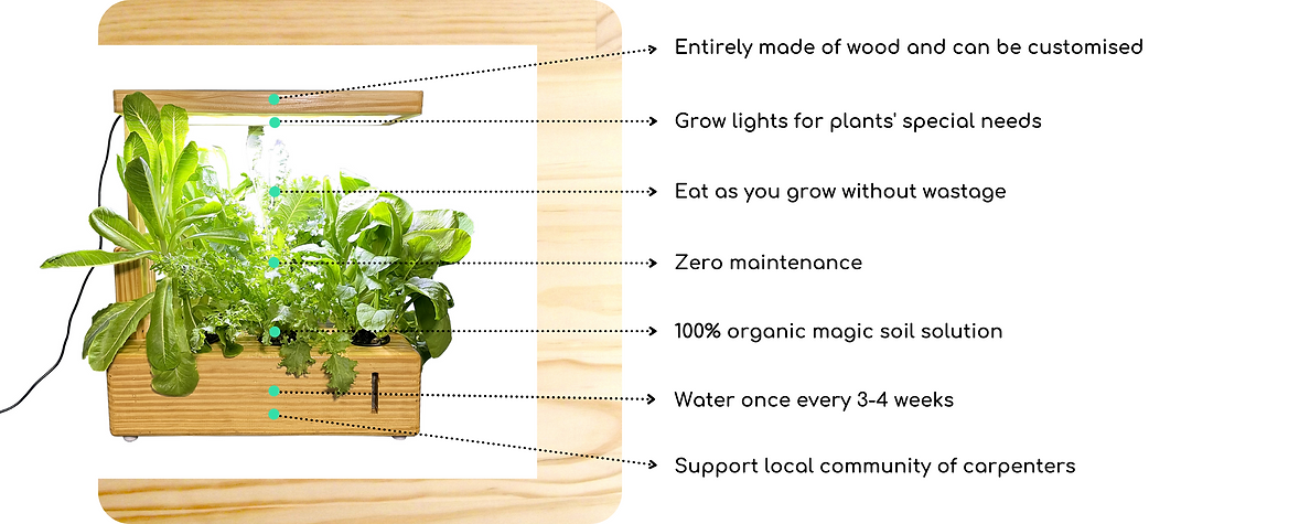 Grow lights for plants' special needs (3).png