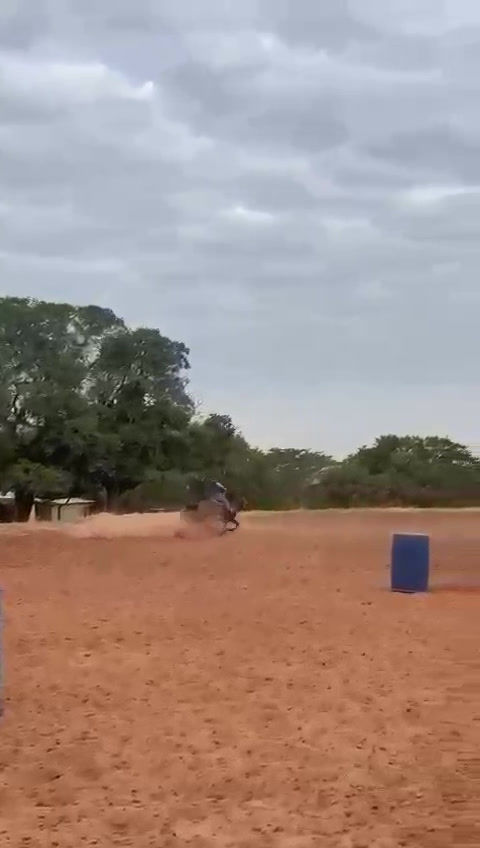 Thumbnail: FSL DIVINA FRENCH'S