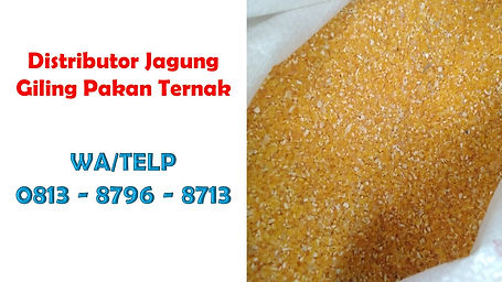 Jagung Giling Kering.jpg