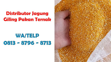 Jagung Giling Kasar.jpg
