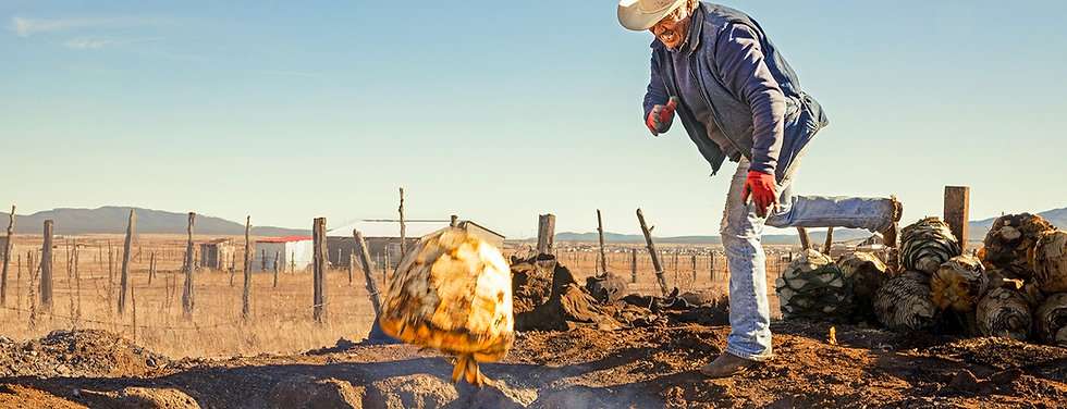 A Distiller at Work