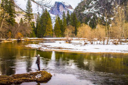 Yosemite National Park