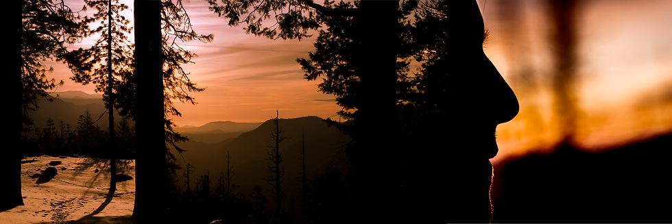 Yashadi - Yosemite Print - 30" x 90"