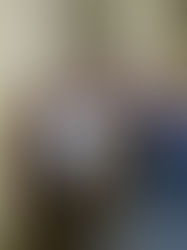 Международные конференции
по переводу (июль-декабрь 2015 г.)