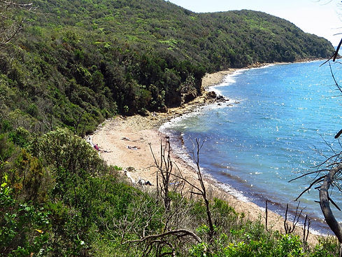 le-2-spiagge-di-cala.jpg