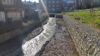 Bioengineering in the UK: P&D Environmental’s Innovative Approach to Sustainable Waterway Management