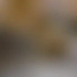 The Complete Guide to Moving and Handling Equipment