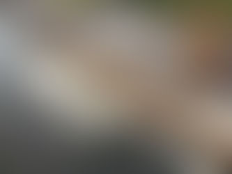 Commercial Pontoon Hire in the UK: Your Complete Guide to Floating Work Platforms