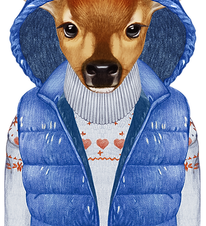 Winter Deer