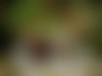 Roshee & Will's Persian Wedding Day- 10.18.25