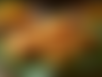 Your Guide to Buying Authentic Indian Snacks in Germany & the EU