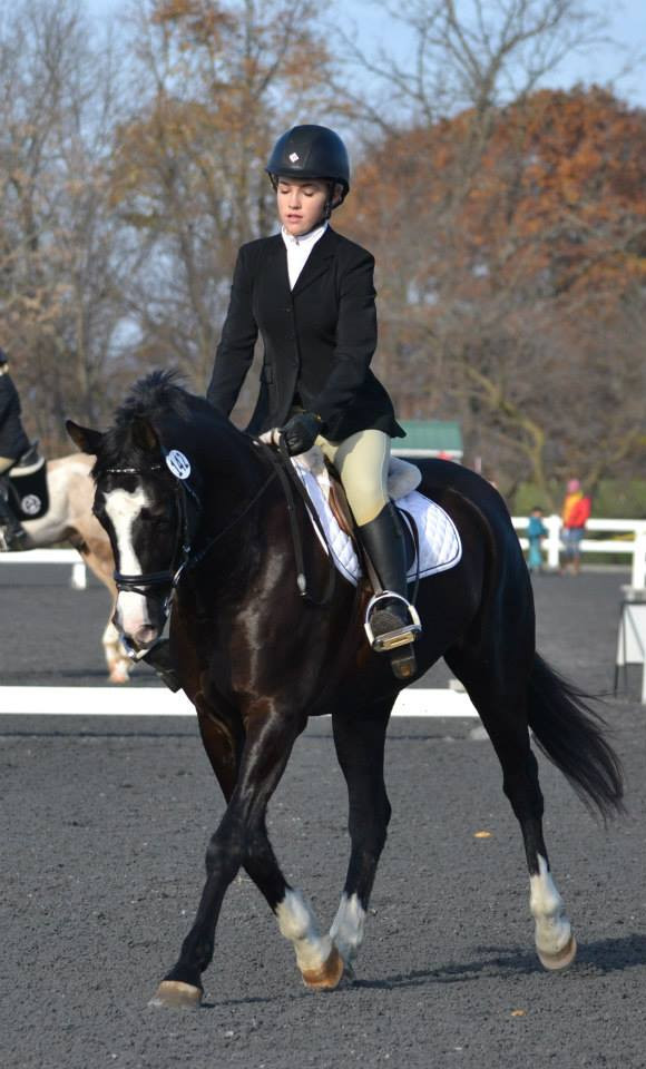 Urbana Riding Club