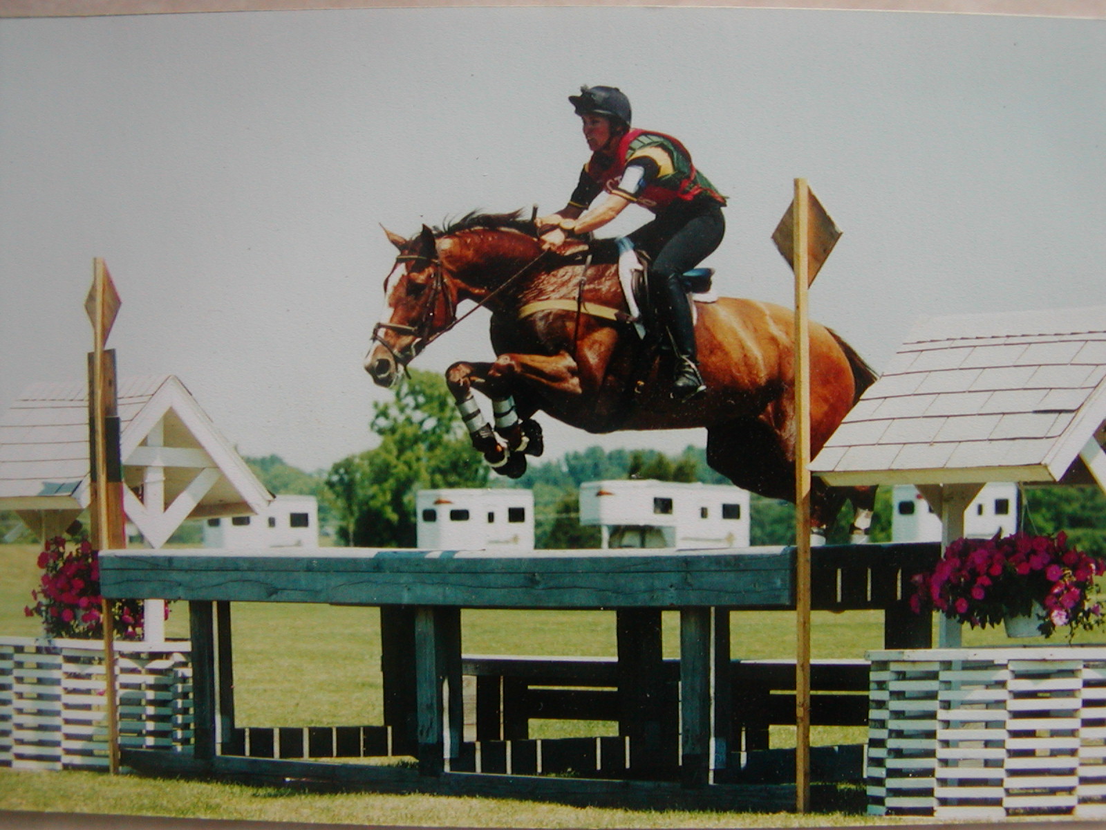 Horseback Riding Lessons and Summer Camp Frederick MD, Urbana MD, Hors