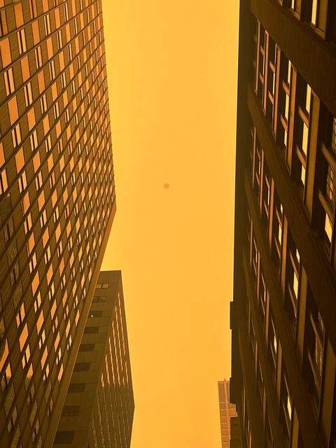 Dystopian Skies
