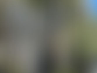 Соборы и церкви Нью-Йорка: духовные и архитектурные жемчужины