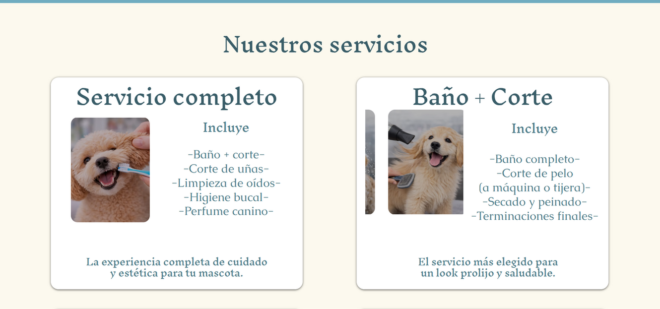 Servicios de pagina web