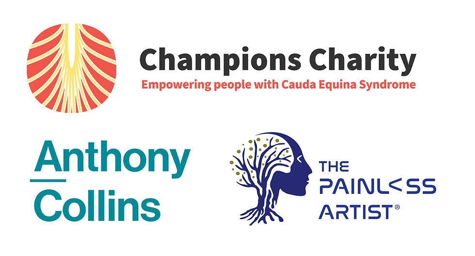 Anthony Collins Solicitor's, Champions Charity and The Painless Artist Logos. Copyright.