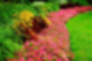 Annual Flower Bed