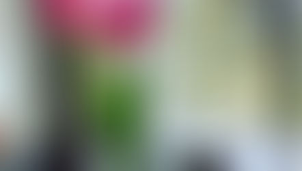 おうち時間ラバー♡