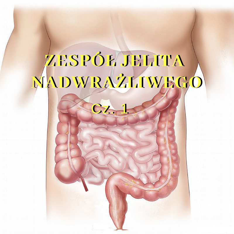 Zespół jelita nadwrażliwego część 1