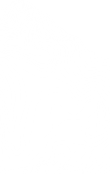 overlay-pattern-1.png