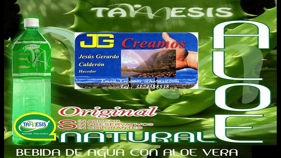 BEBIDA TAMESIS ALOE VERA XXI