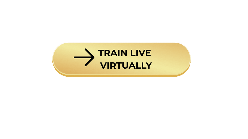 Train Live Virtually.gif