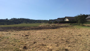 Brandeinsatz / Flächenbrand groß