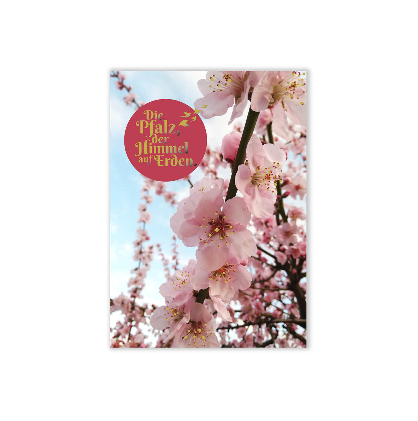 Die Pfalz der Himmel auf Erden