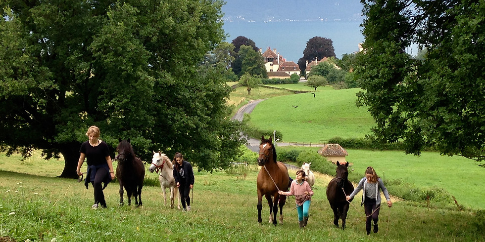 Semaine du 8 au 12 Juillet 2019