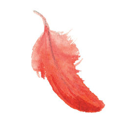 Copy of Blossom Sticker circle (2)