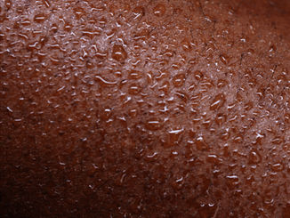 cleanser N+L.00_00_18_14.Still028.jpg