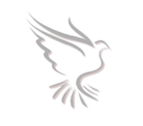 SOE logo _edited-PhotoRoom_edited_edited