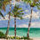 Thumbnail: Palm Trees Knife Painting Workshop