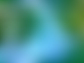 One Small Step for Chang'e, One Giant 'Leaf' for Mankind.