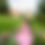 Thumbnail: Plaidelle