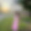 Thumbnail: Plaidelle