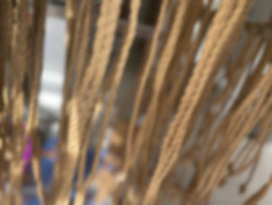 Grounded Rope Handling Skills Bundle