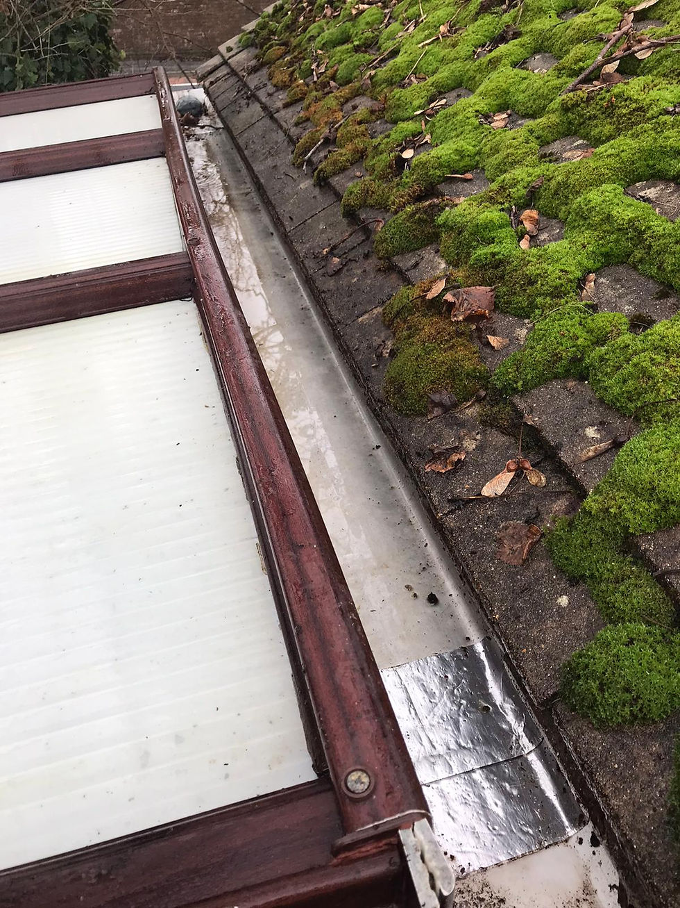 Redman Window Cleaning Gutters Solar panels Fareham