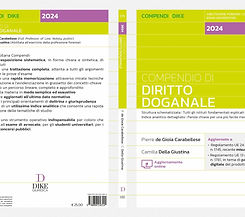 diritto doganale.jpeg