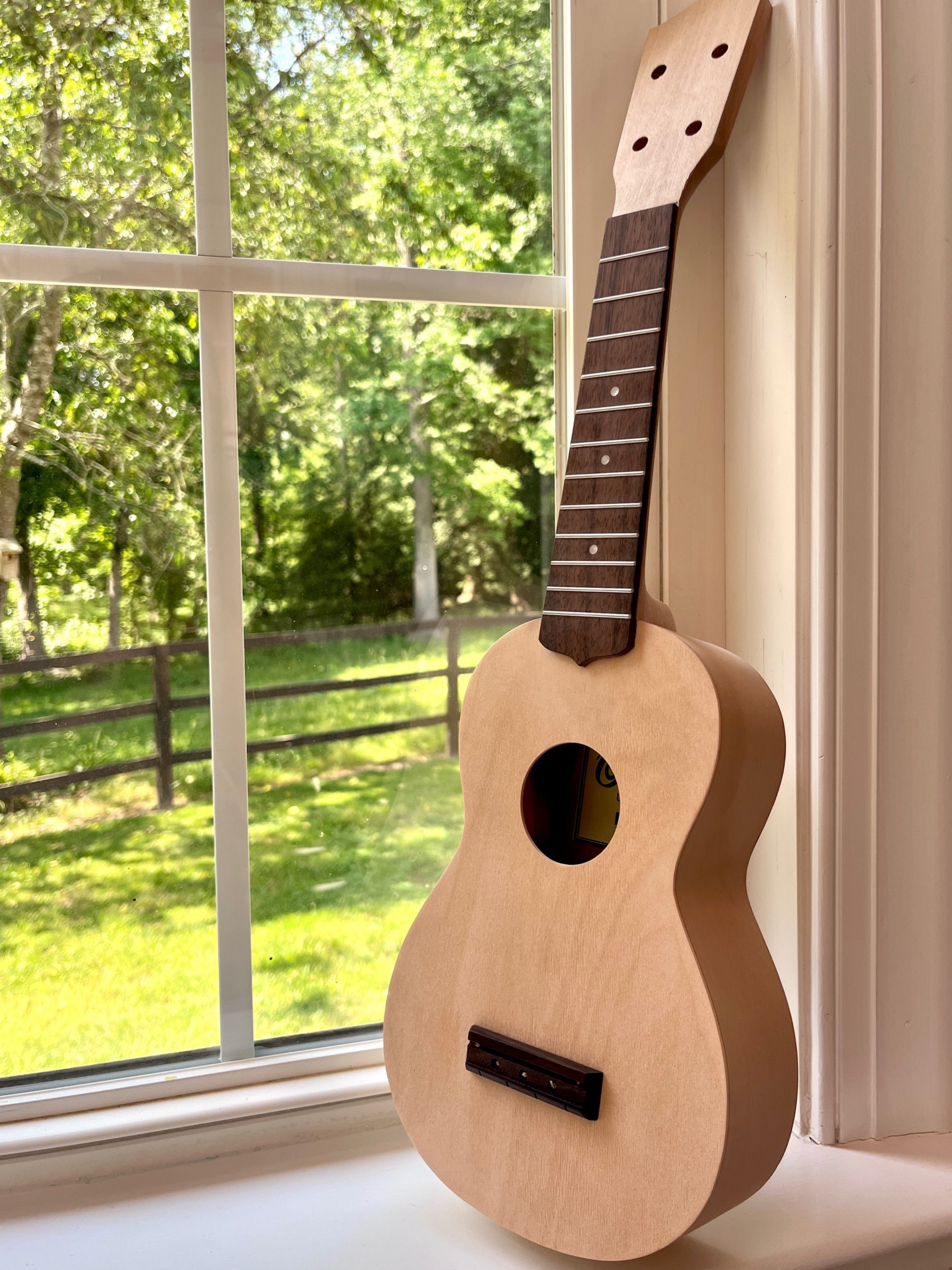 Custom Ukulele