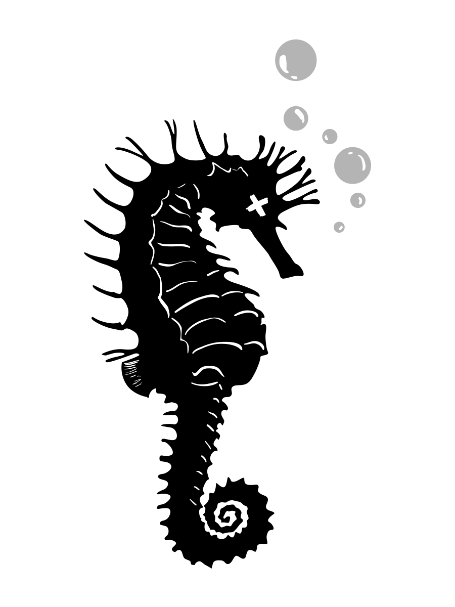 Dead Seahorse