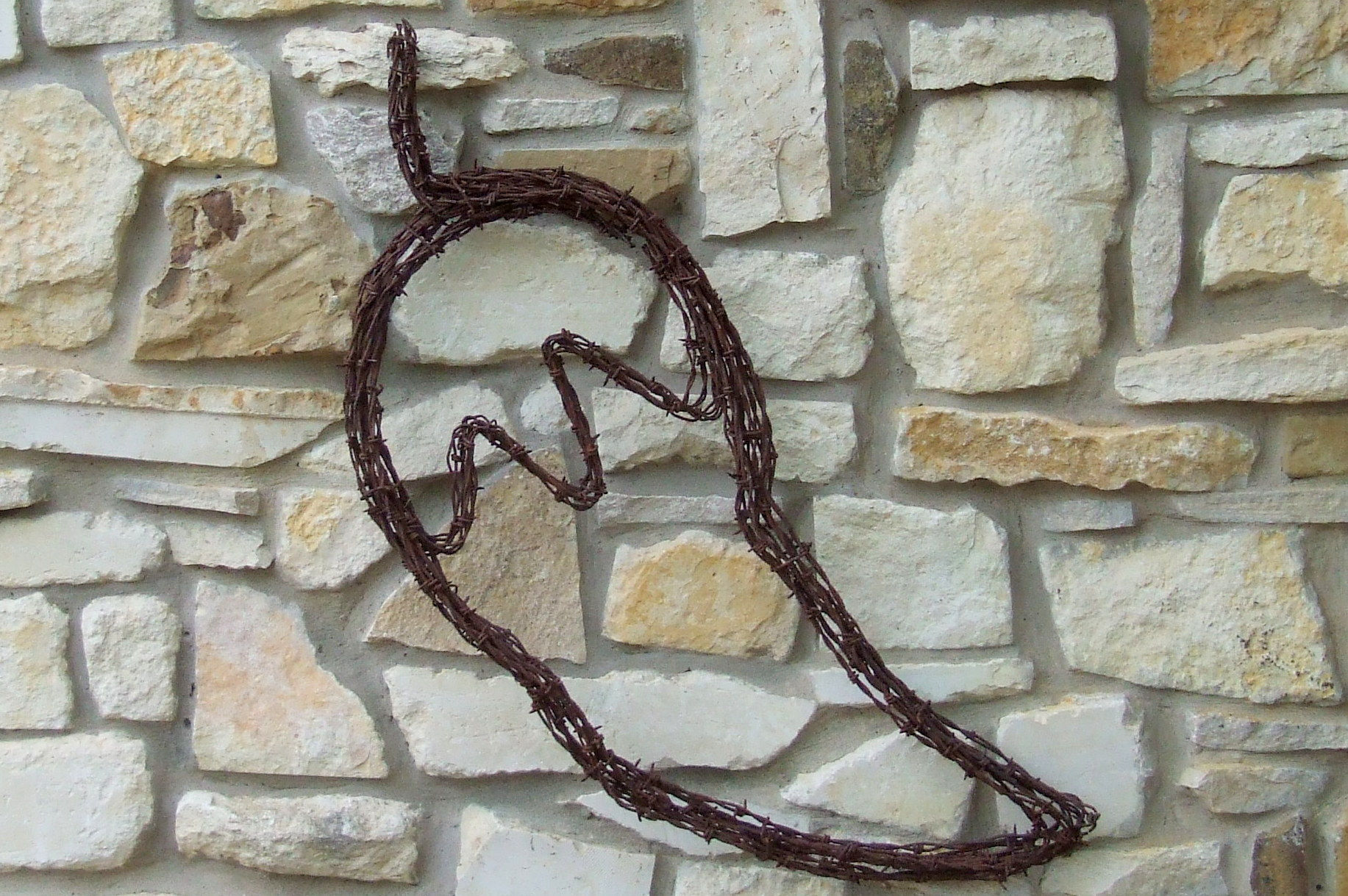 Barbed Wire Jalapeno