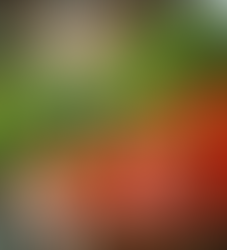 Why Organic Foods Boost Your Health: The Benefits of Organic Foods