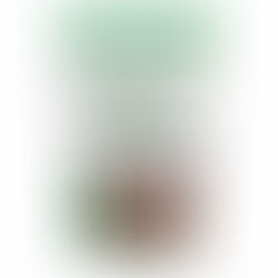 Top Reasons to Add Organic Brown Sugar to Your Diet?