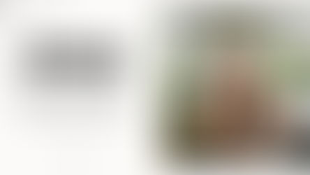 LAKELIN LEMMINGS - LIFE OF MINE