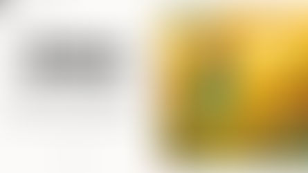 REBECCA JAYNE - FOLLOWING THE SUNSHINE