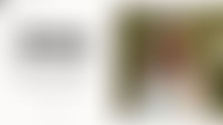 MADDIE JANE WARREN - SHAME