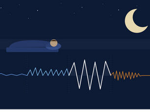 The Four Stages of Sleep – and What Your Brain Is Actually Doing During Each One