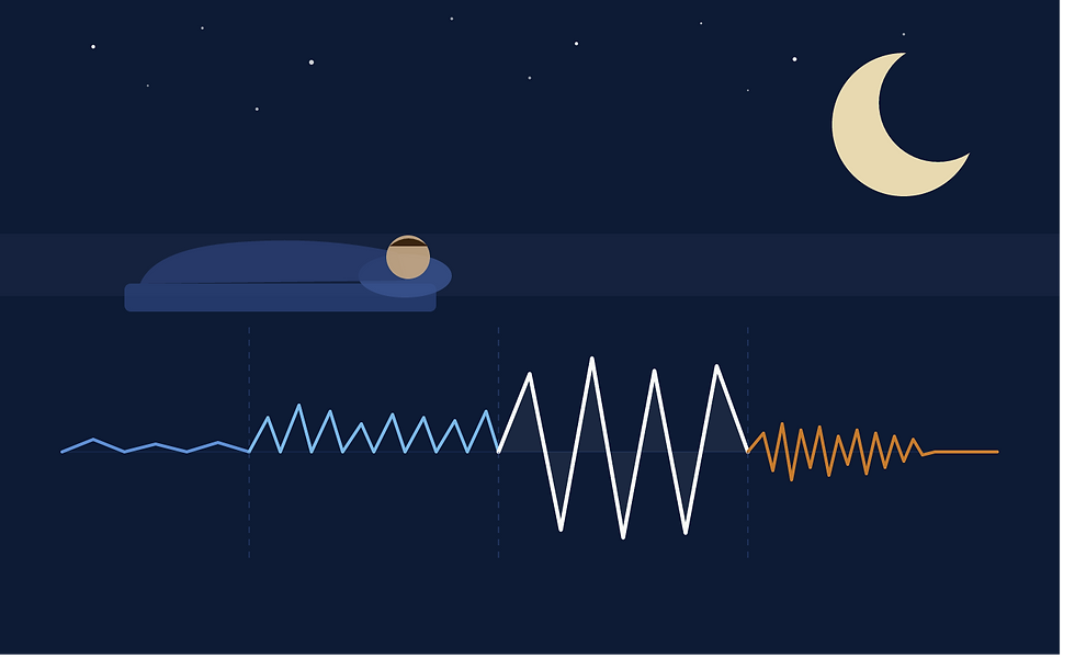 The Four Stages of Sleep – and What Your Brain Is Actually Doing During Each One